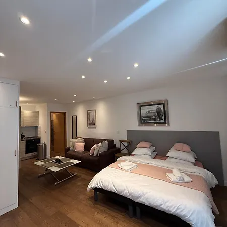 Verginia Apartment Cannes
